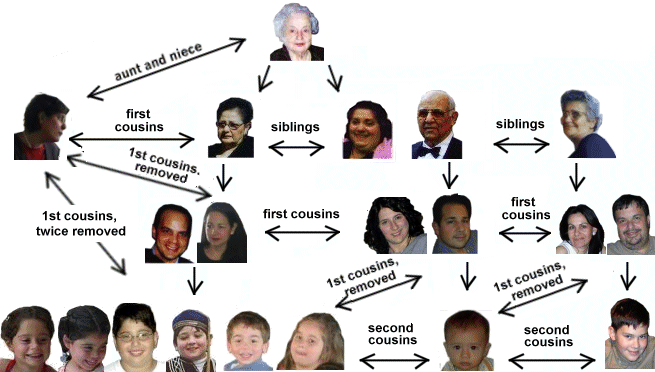 familytree.gif (68568 bytes)