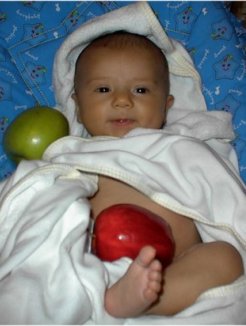 apples.jpg (17769 bytes)