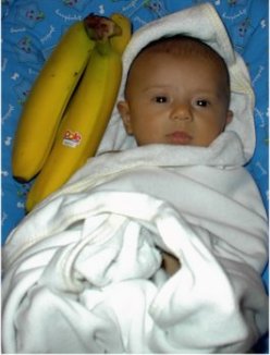 banana.jpg (17644 bytes)