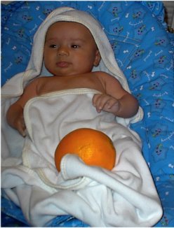 orange.jpg (20008 bytes)