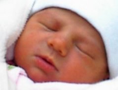 zoe's face 1702.jpg (6664 bytes)